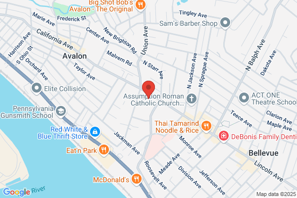 PROTECH AUTO GROUP, INC. - BELLEVUE