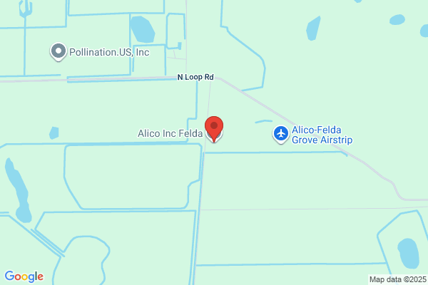 Alico Inc