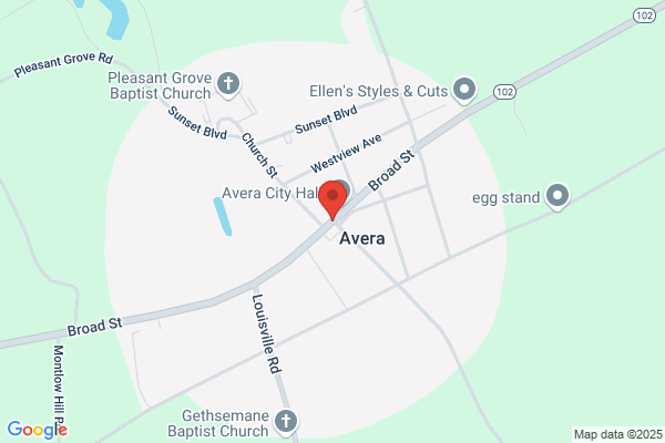 Avera Shopping Center