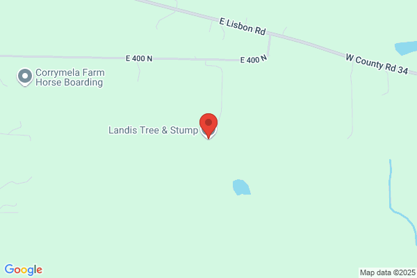 Landis Tree & Stump