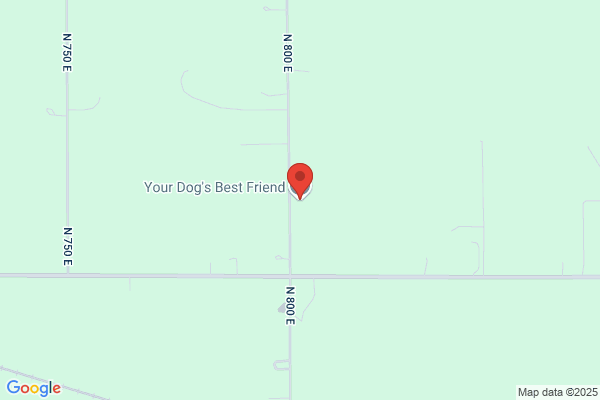 Your Dogs Best Friend