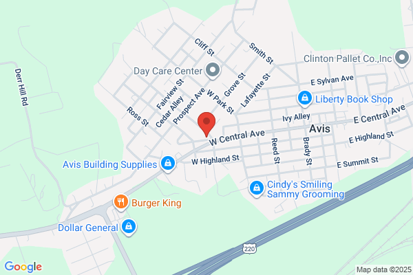 Avis Psychological Services
