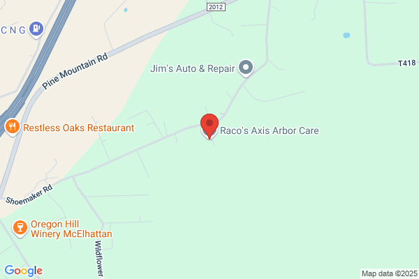 Raco's Axis Arbor Care