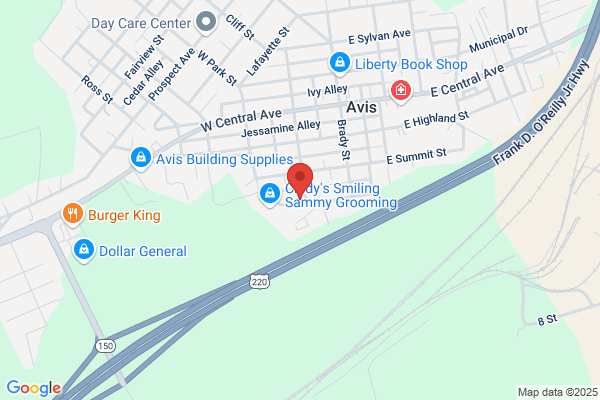 Ridge Street Auto Body Inc