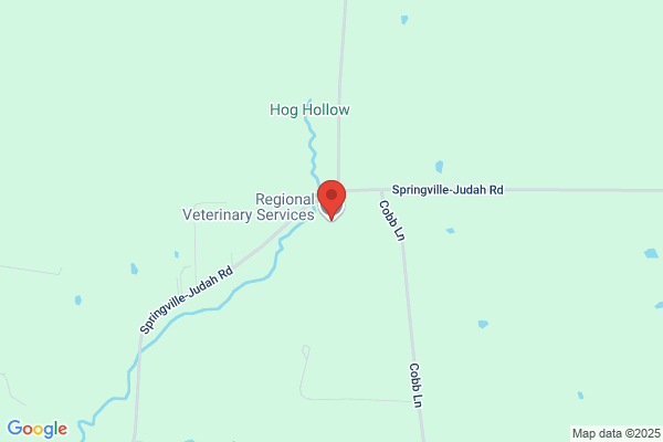 Regional Veterinary Services