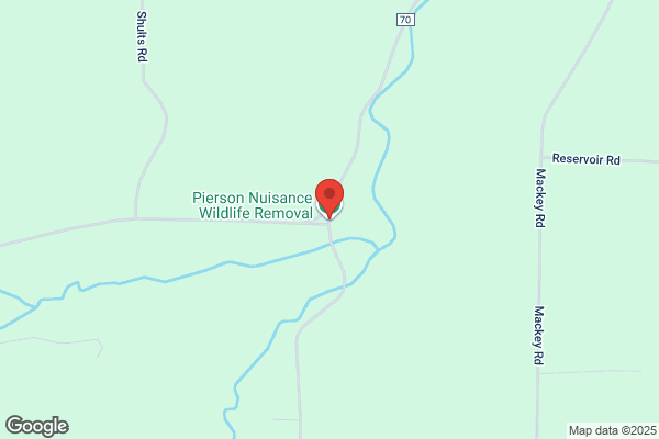 Pierson Nuisance Wildlife Removal LLC