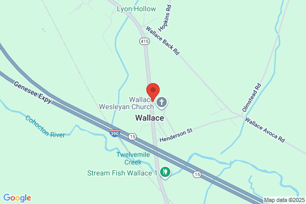 Wallace Fire Department