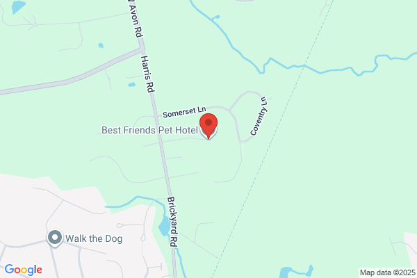 Best Friends Pet Hotel