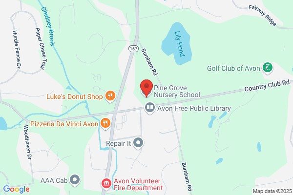 Pine Grove Nursery School