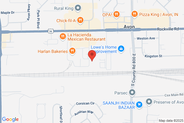 American Mold Experts