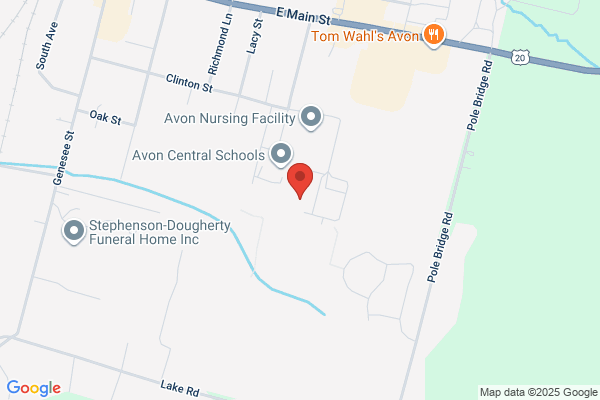Avon Central Schools, High School