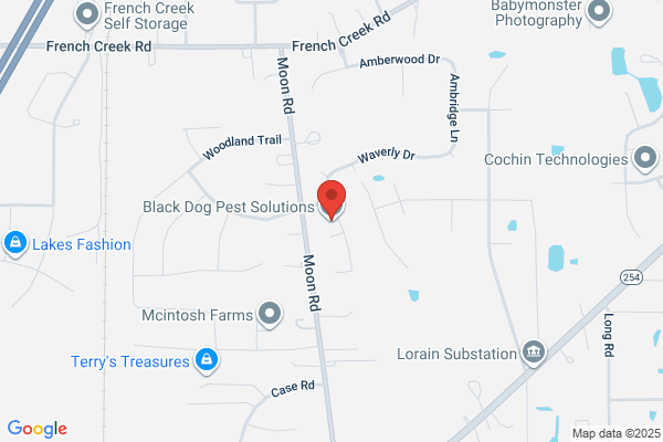 Black Dog Pest Solutions llc