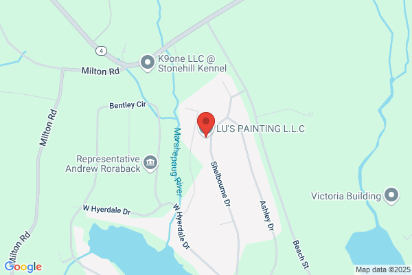Lu Painting LLC