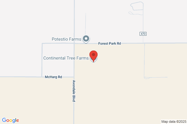 Continental Tree Farms