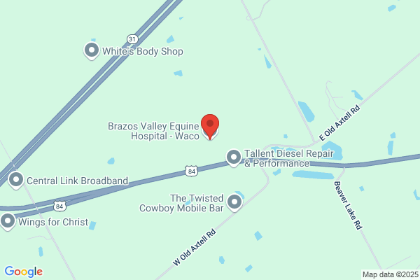 Heart of Texas Equine Clinic