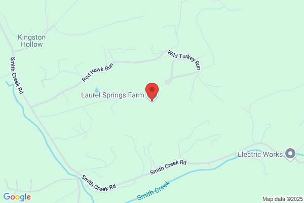 Mountain Laurel Stables