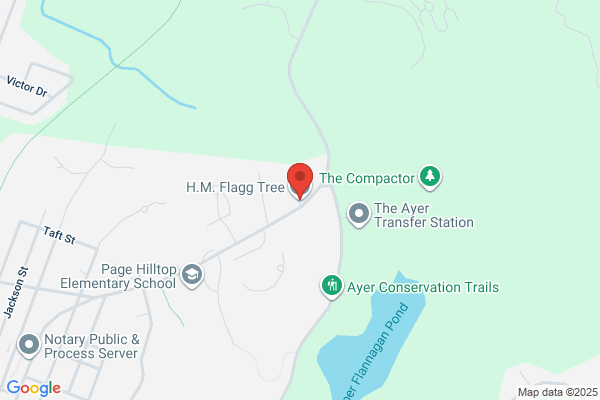 Flagg Tree Service