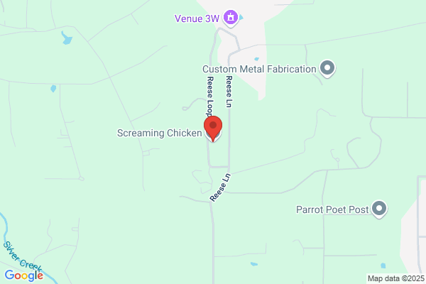Screaming Chicken