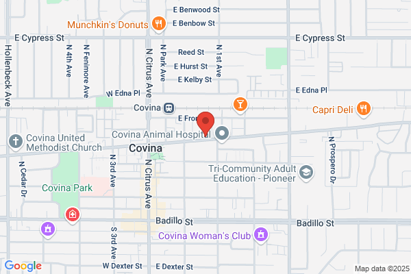 Hendrickson Automotive