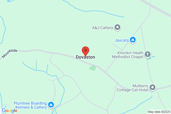 G Dovaston Company