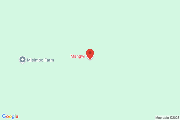 Mangwi Services, LLC