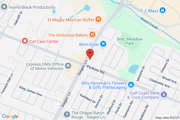 Lagniappe Automotive & Tire