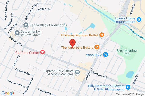 US Telemetry