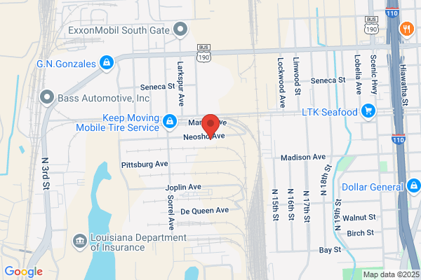 Southern Ionics Inc