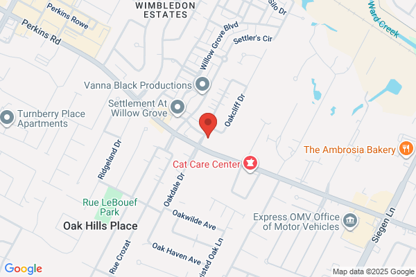 The Office of Keith G. Lorio, DDS