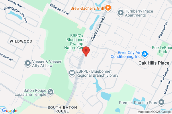 Shelley M. Joachim, DDS