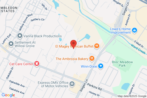 James M Hayden DDS Llc
