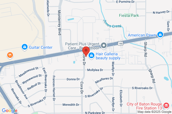 Baton Rouge Financial Services Inc