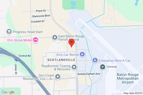 Loomis Fargo & Co