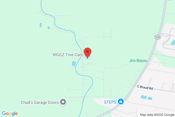 BIGGZ Professional Tree Care