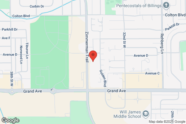 Abbey Volf, NP