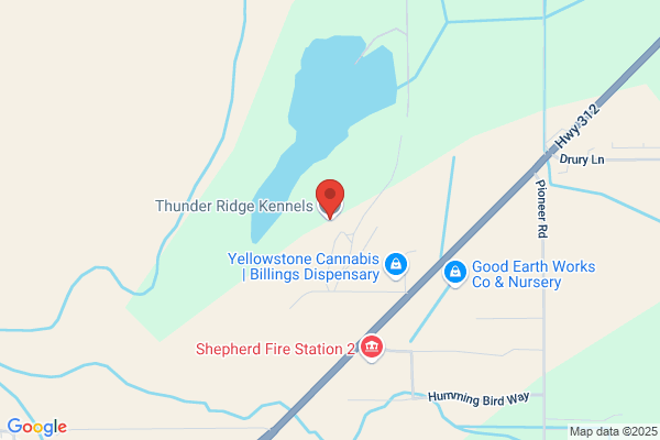 Thunder Ridge Kennels