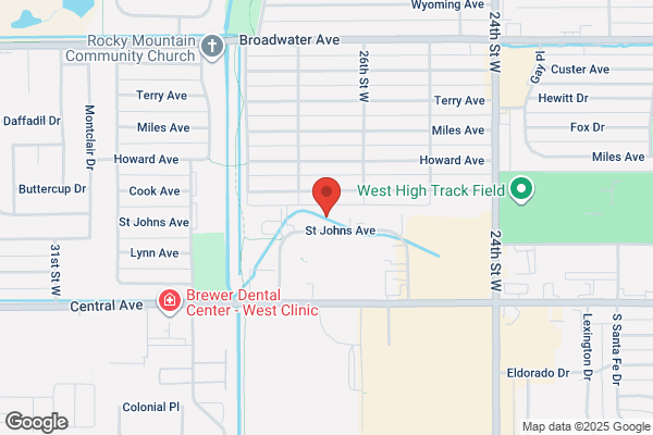Briese Joanne M Attorney