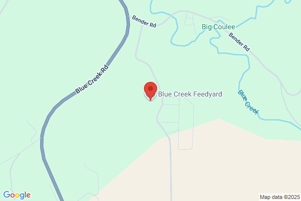 Blue Creek Cattle Feeders