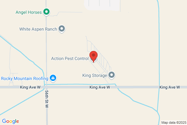 Action Pest Control