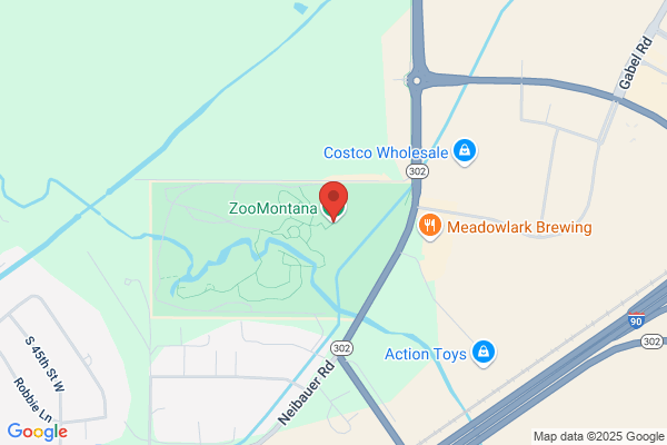 Zoomontana