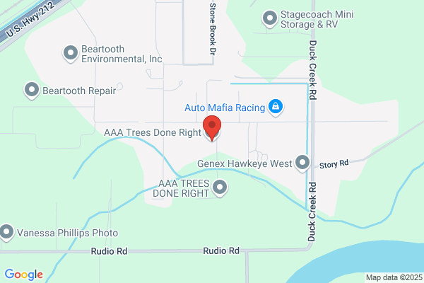AAA Trees on the Move