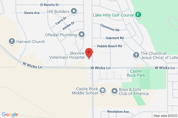 Skyview Veterinary Hospital