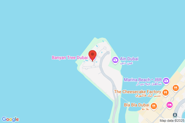 The Banyan Tree
