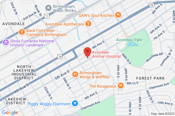 Avondale Animal Hospital