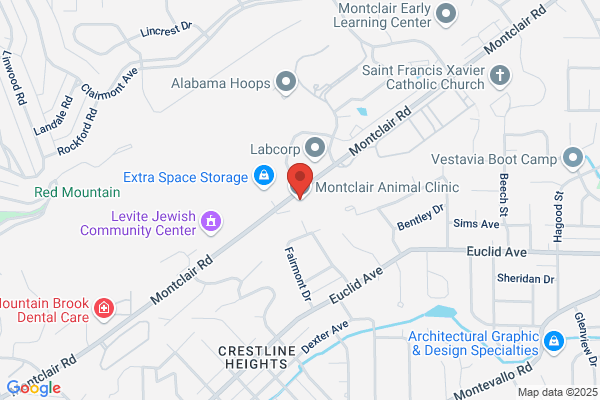 Montclair Animal Clinic