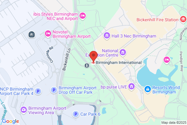 Birmingham Intl Festival