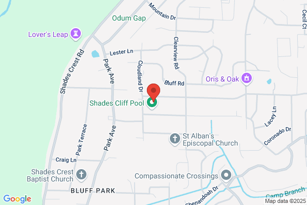 Bluff Park Art Association