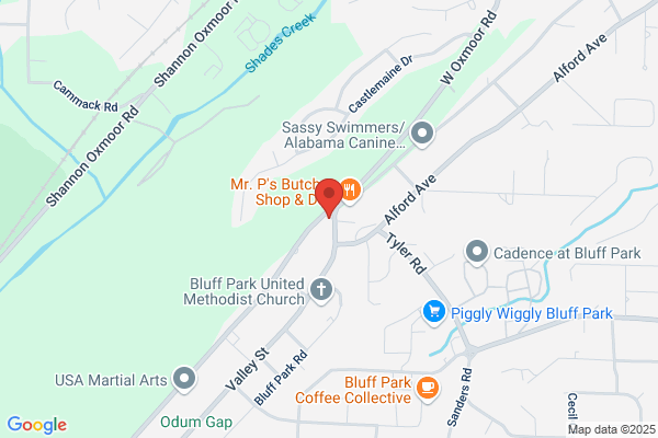 Bluff Park Auto Service