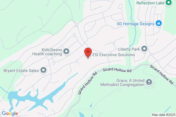 Esi Executive Solutions Inc
