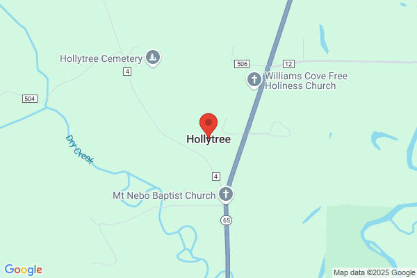 Holly Tree the Inc